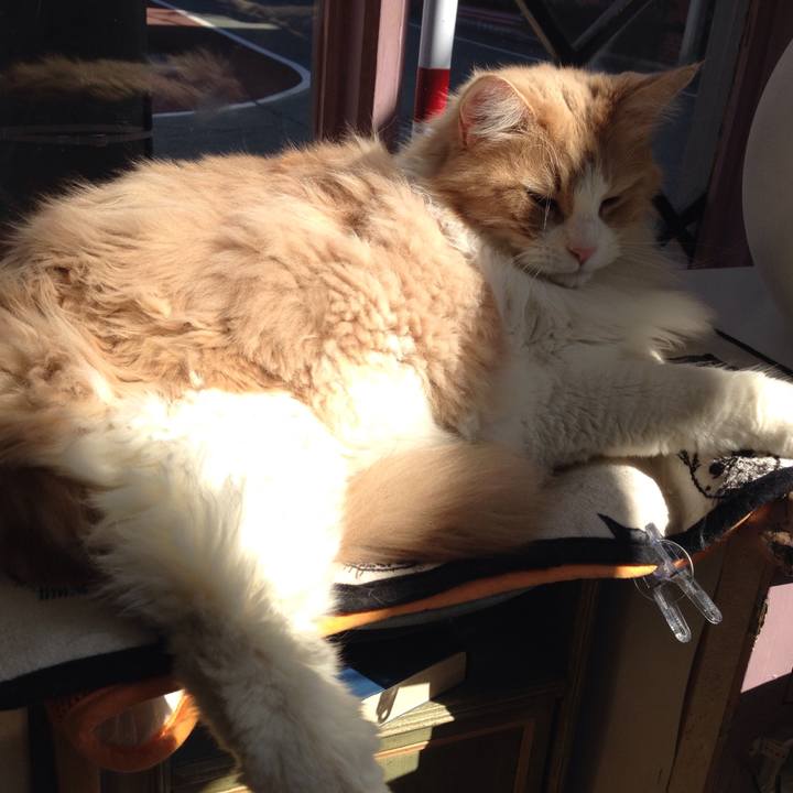 D6cda02e 1da9 4235 91f0 6a7e4ec41be8