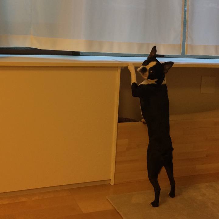 D6cdddee 6e65 4f15 a546 69f806caf49a