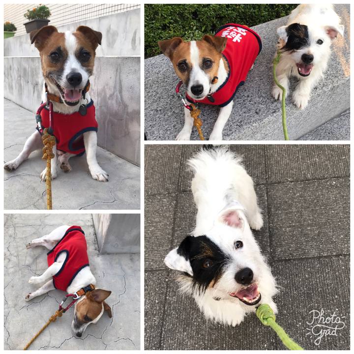 D6ced03a 8fec 49b9 905a 572975ee109b