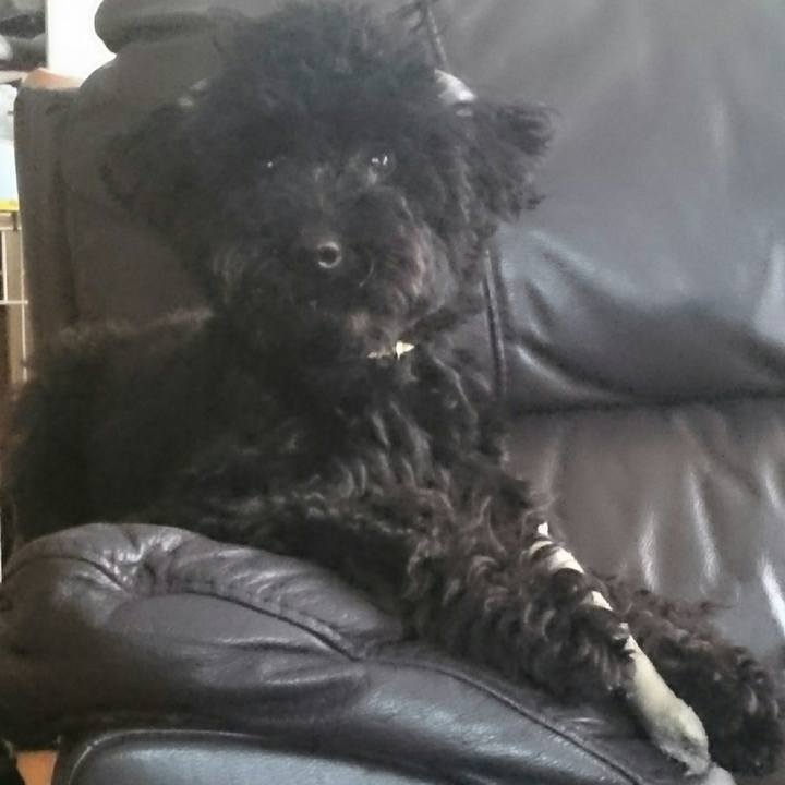 D6cef697 b363 4314 b76a db423d700e65