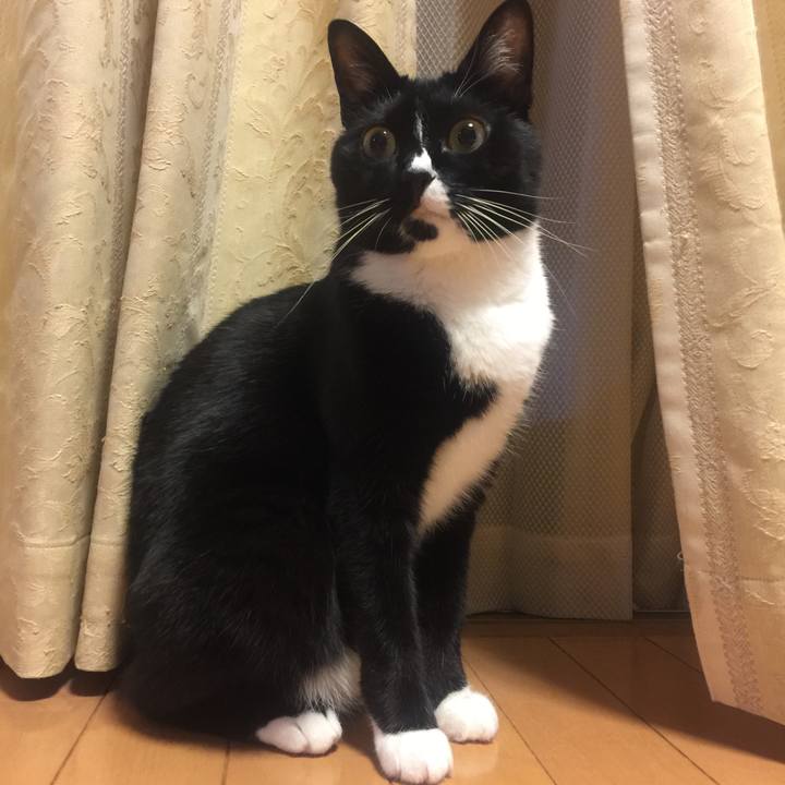 D6cefb37 939f 4285 a030 4785380fe1df