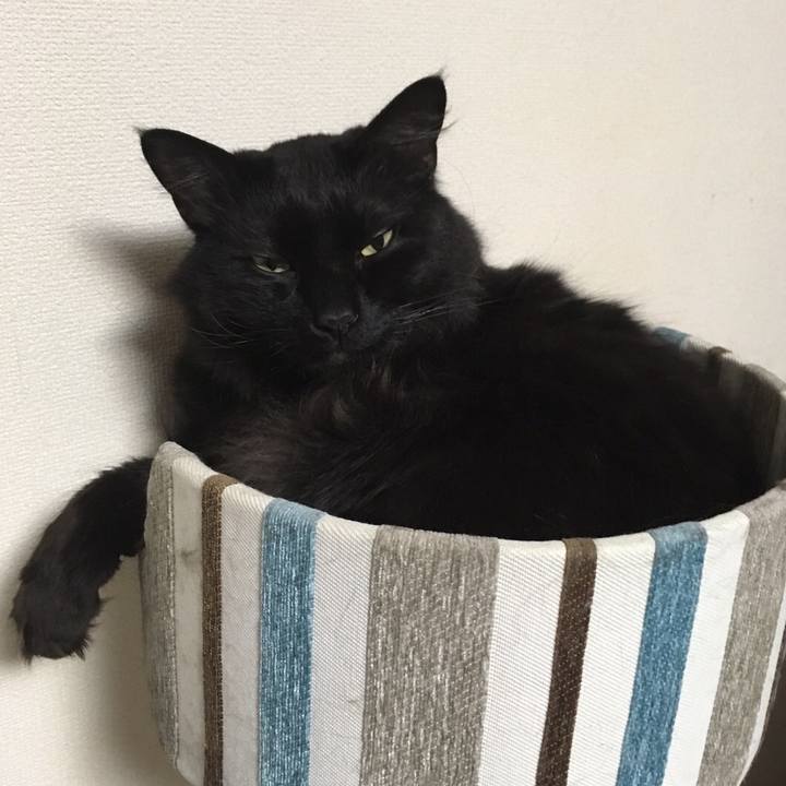 D6cf33d2 46bb 48e5 9d54 64237c44f1b3