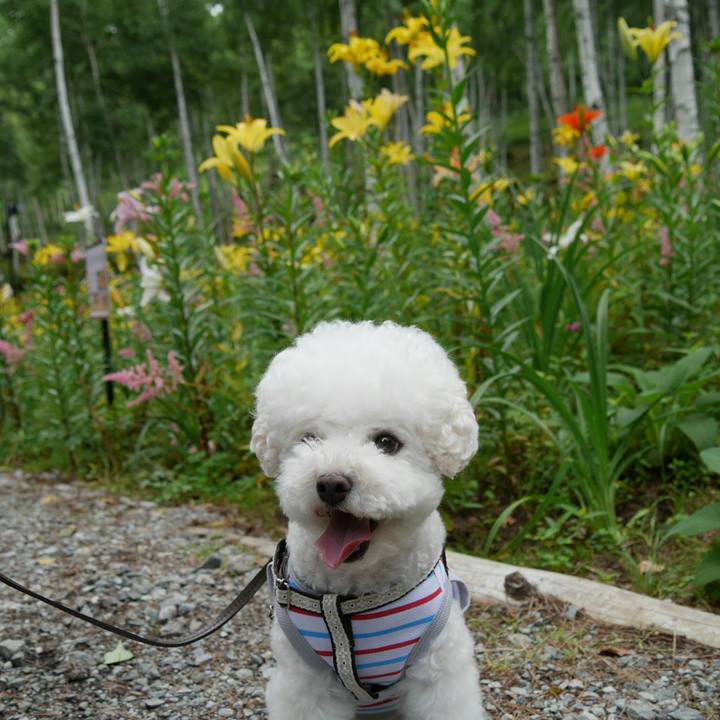 D6cf914b cd32 43b8 86ca fd1f572bbda4