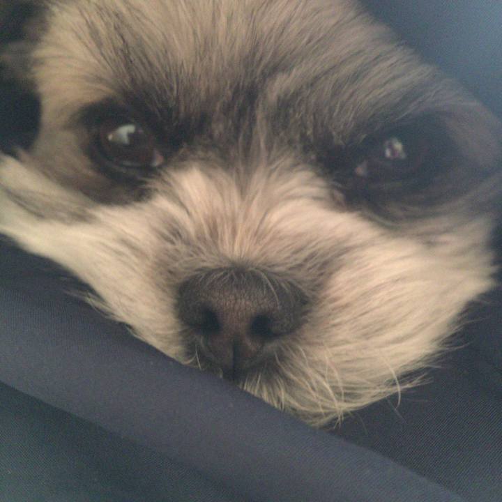 D6cffe64 477b 43fd 8136 8a8aa7351d23