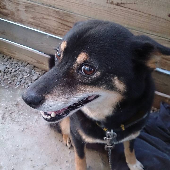 D6d04d86 e6af 49e3 8a17 d9d299bd12e0