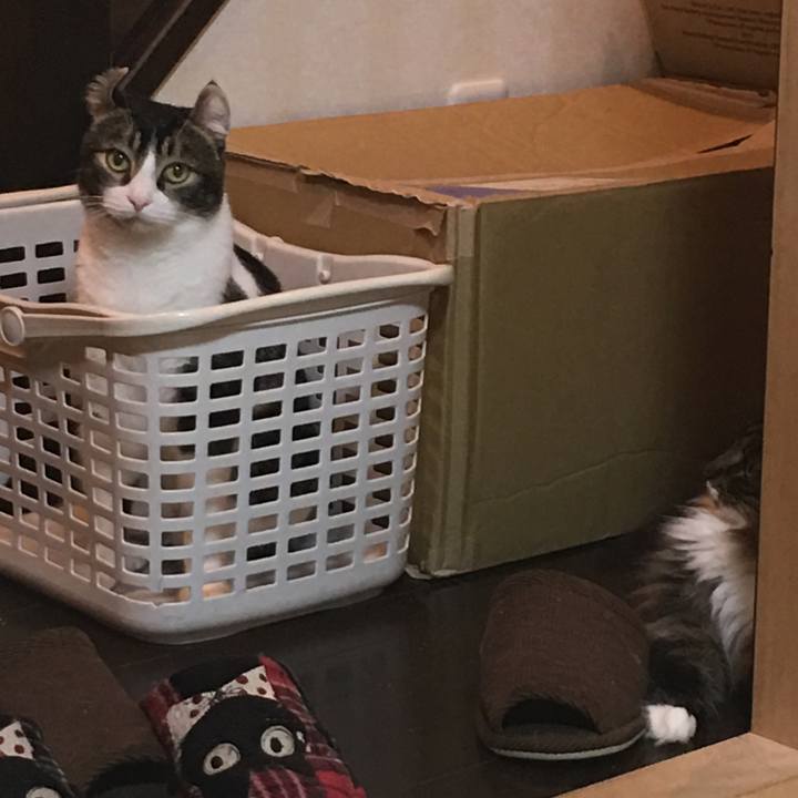 D6d05a22 3cb1 406d a3a4 a7c90cd596a6