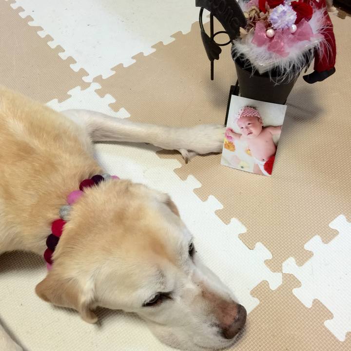 D6d117bd a03c 4745 ae83 ad63753fd513