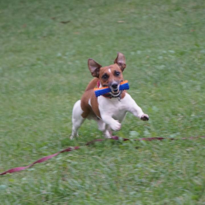 D6d16dcf f215 40f3 95e6 e5916e60f1ad