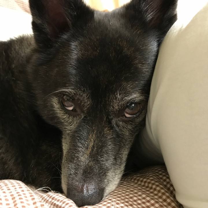 D6d1ce73 86a5 42b2 bbb6 8244b70b4dcf