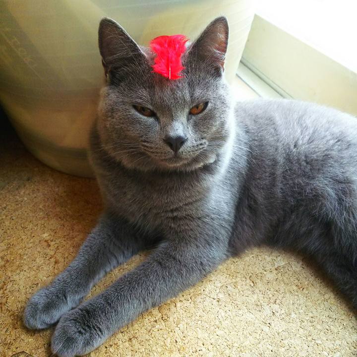 D6d341ab 6c43 46b8 92d8 4931cc5cccd6