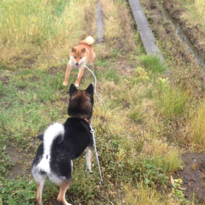 D6d36999 5043 490a a3cc 5ea3f7114bdf