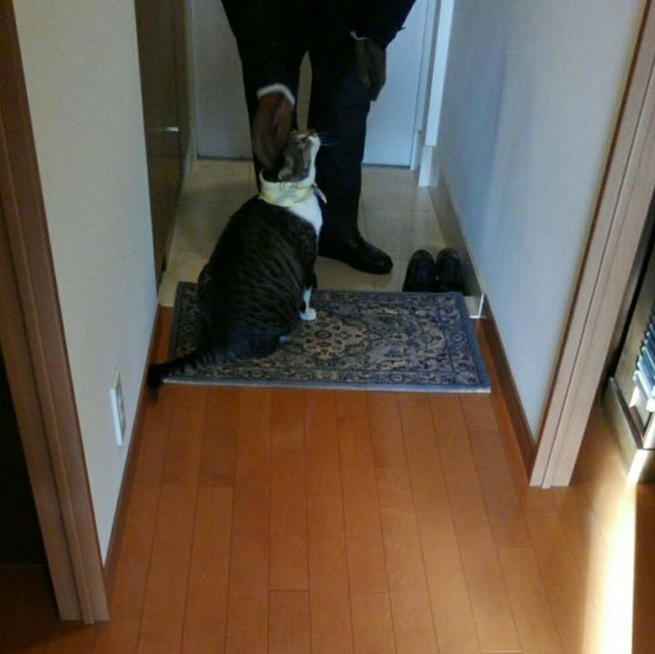 D6d380bf e2be 4b94 9448 c807193760da