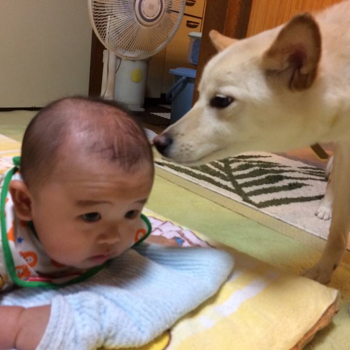 D6d381d2 28c3 4ddc a77d c3dffc039d67