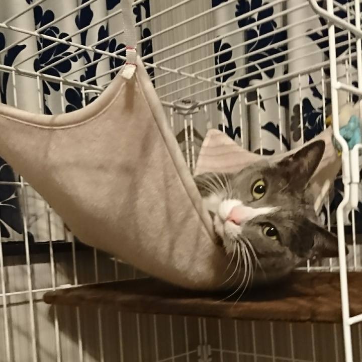 D6d3a746 a6ae 4def b0f1 b95ef2628f98