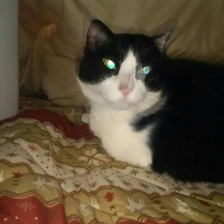 D6d3c92c 1bb2 4bd5 a6c8 9c27fffe1d18