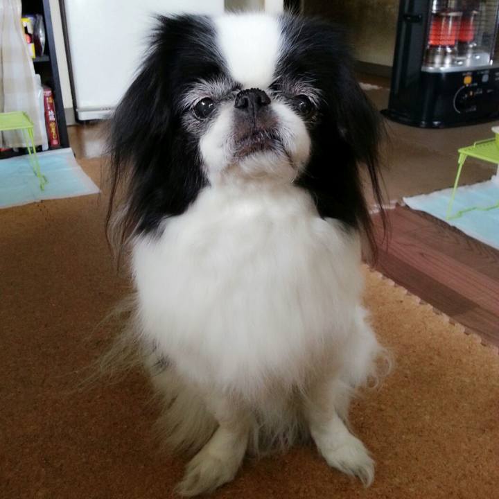 D6d3f7c7 37d3 44a1 8c4d 7d35c9d8088c