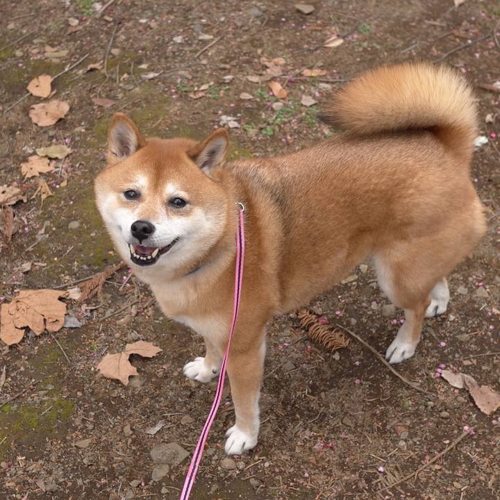 D6d43d17 0e03 4315 acc5 f0b7c3c18f2c