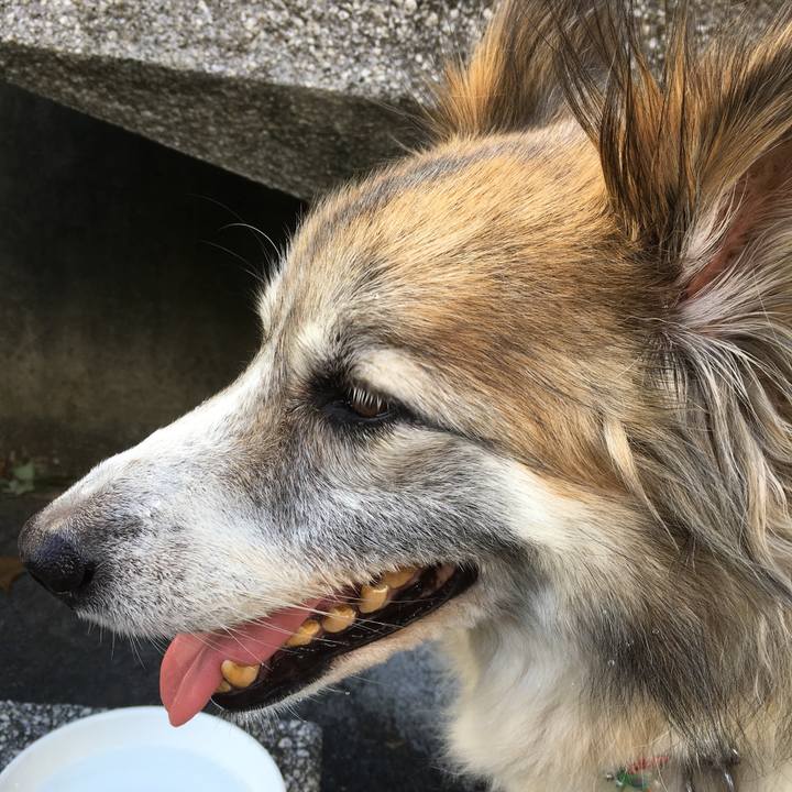 D6d461d5 28ce 4d73 827c 60afa399b7aa