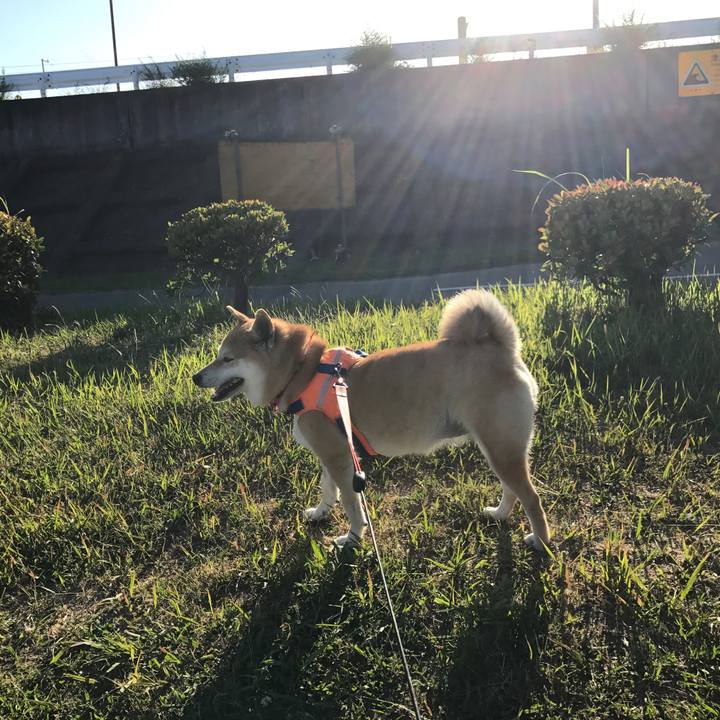 D6d48d6b 97bc 453c 8379 d24314d1030c