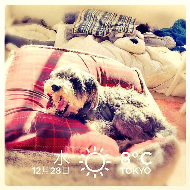 D6d49fb9 b385 4d76 a964 99855c1b5830