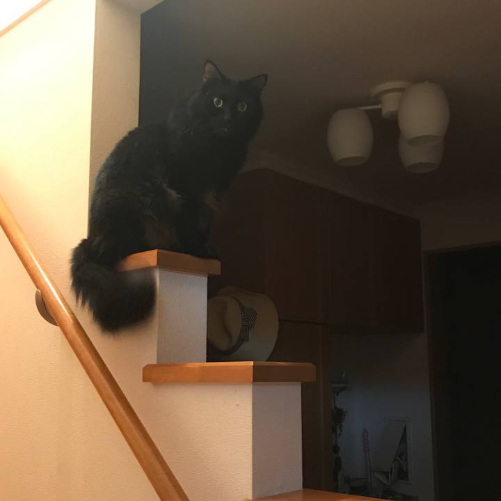 D6d5aef9 176d 4a5e a326 b2c2216ed130