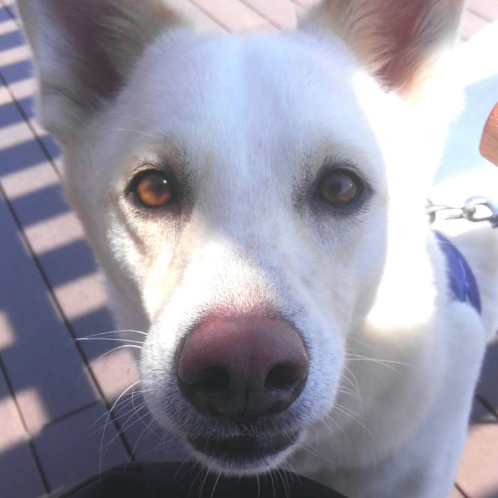 D6d5cd85 edc1 4061 adf3 ac613414dd7d