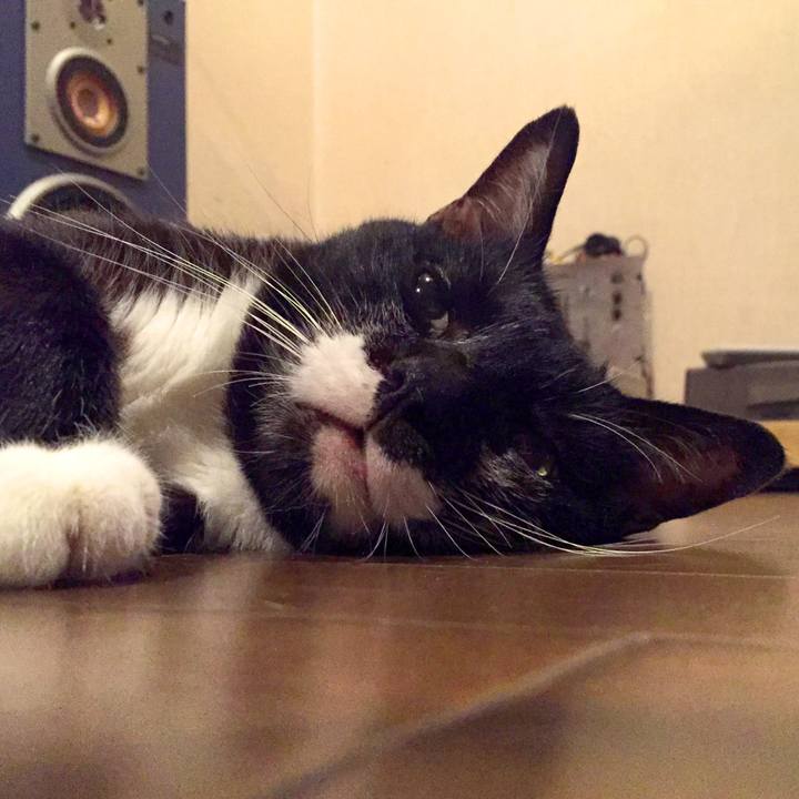 D6d69679 3481 4eba 8097 02151e547446