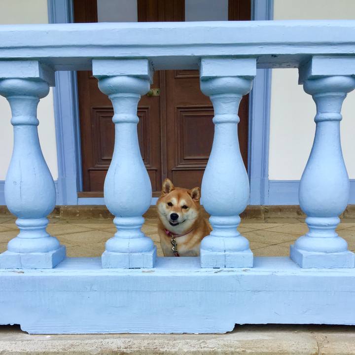 D6d6a388 bdd1 4fc7 93d4 e71b2e82805a