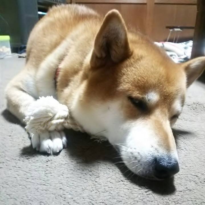 D6d6c258 a84c 46f0 bbbf 50a3254d78ad