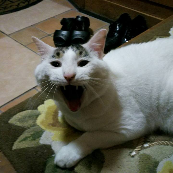 D6d6e39d 29b0 43ec 8d07 557f6489a813