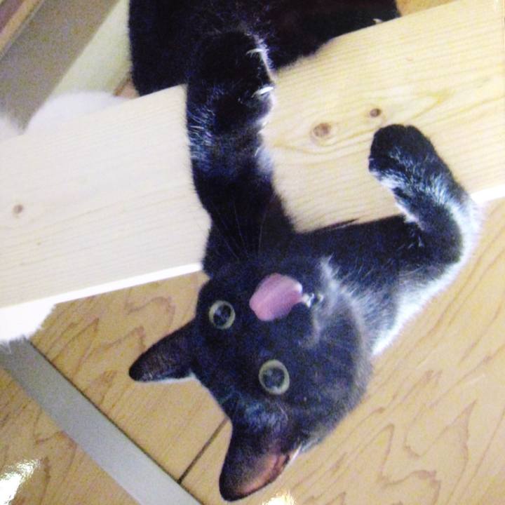 D6d6ef3f 78ce 4730 86b5 782500831013