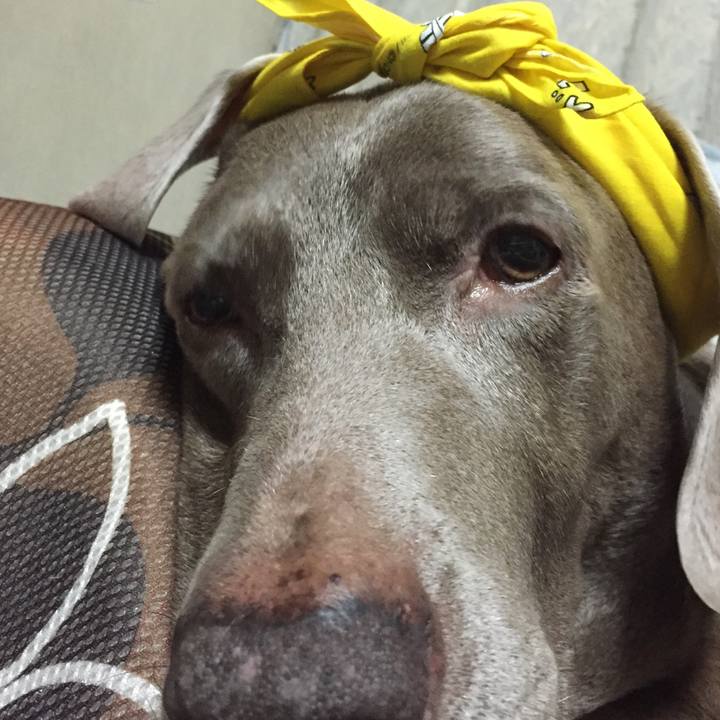 D6d7b3ce 9008 4d94 a136 dfdd0950bacb