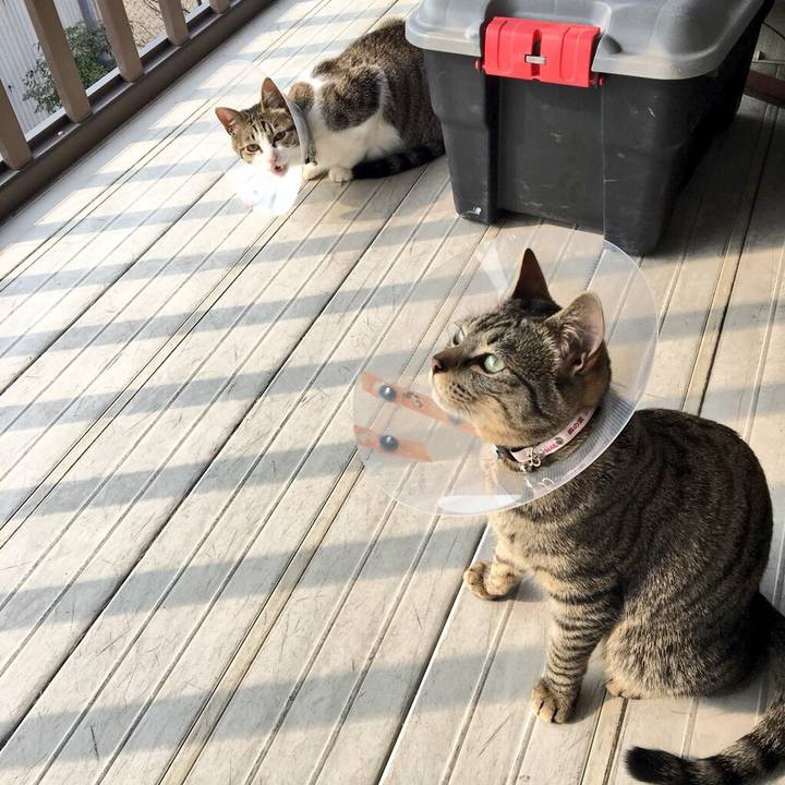 D6d80c8f b3de 4ebe bcd6 b1c6e0e3e0b3