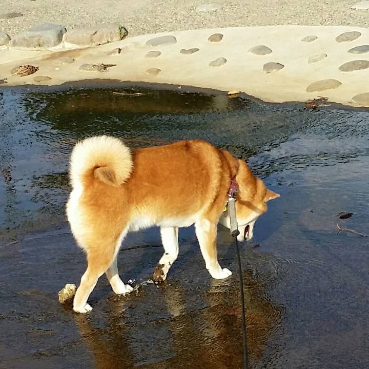 D6d8a3fa d77d 4950 9d4e 571e27d6d9c3