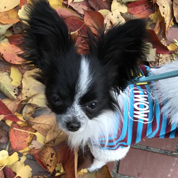 D6d8ebc4 a1ff 47b3 bbe8 31e04e4b8441