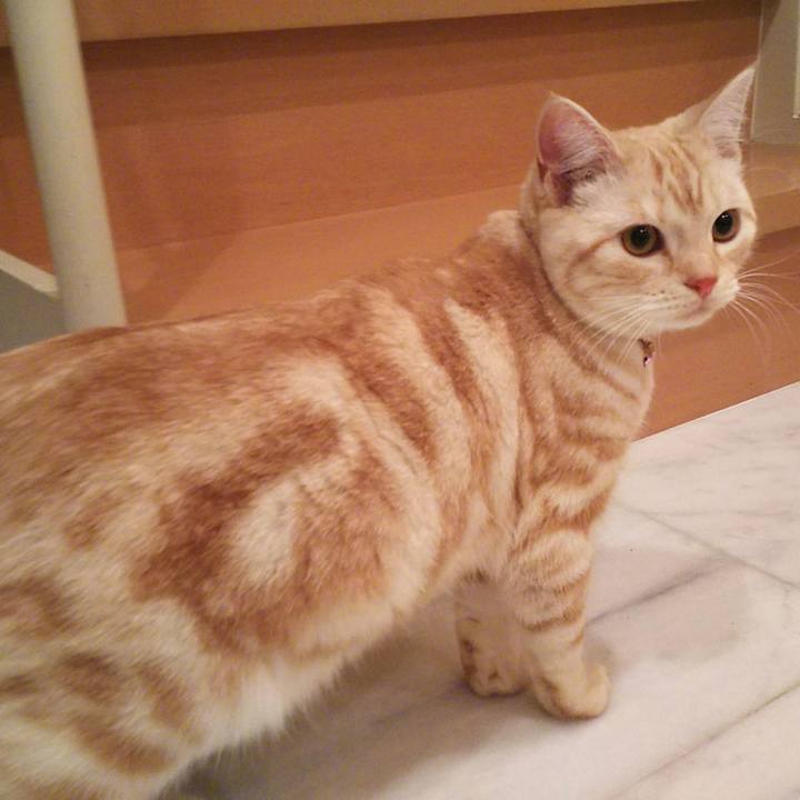 D6da7799 3e0a 4eca b5ab 46214c5448d9