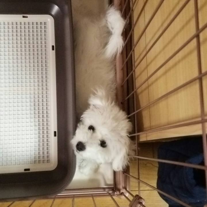 D6dae116 42c2 4f66 a73a ca06fb605c21