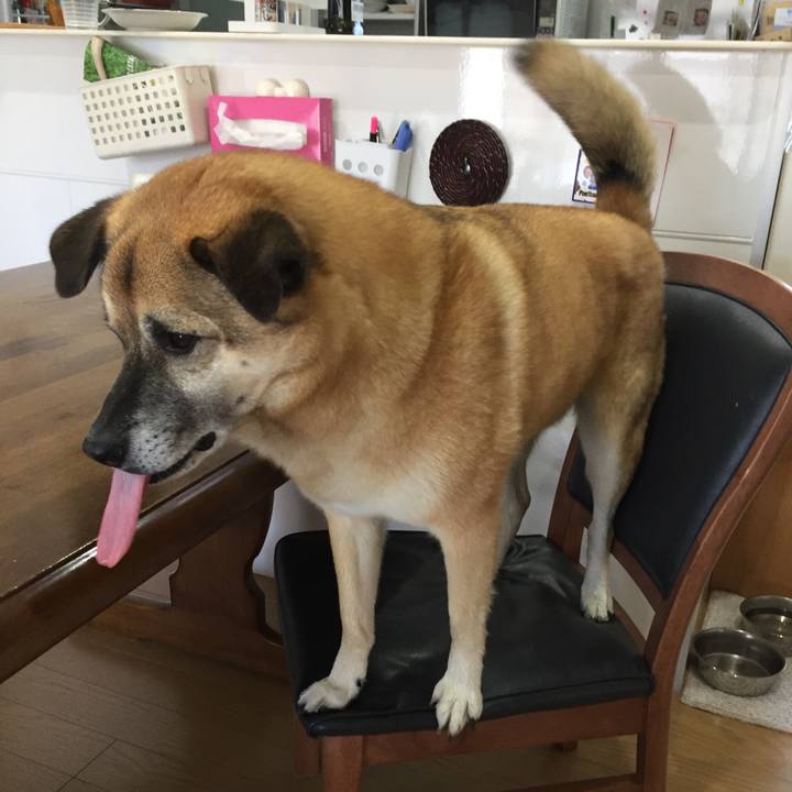 D6db22de b2ea 4c4f aef9 bef23568cc94