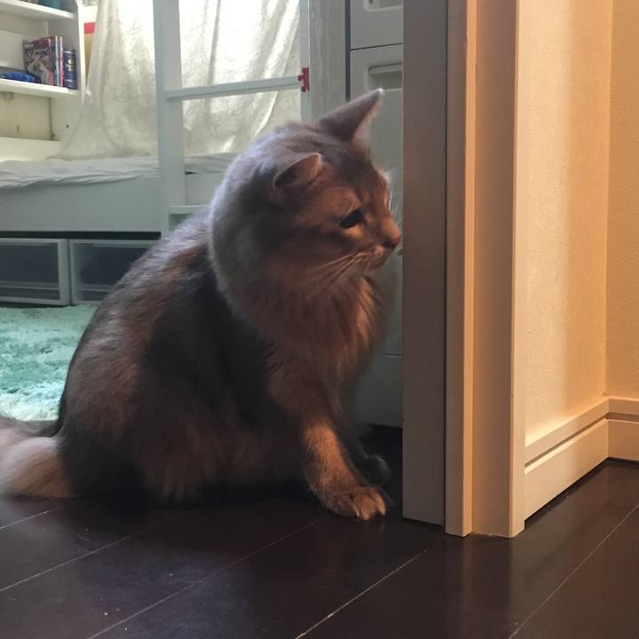 D6db2c52 66fe 46fc b573 95feb7a4994b