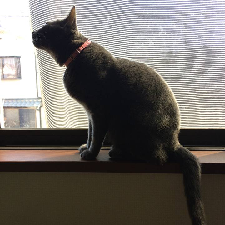 D6db4f50 a896 4999 b2b0 f0fc7e3a9e08