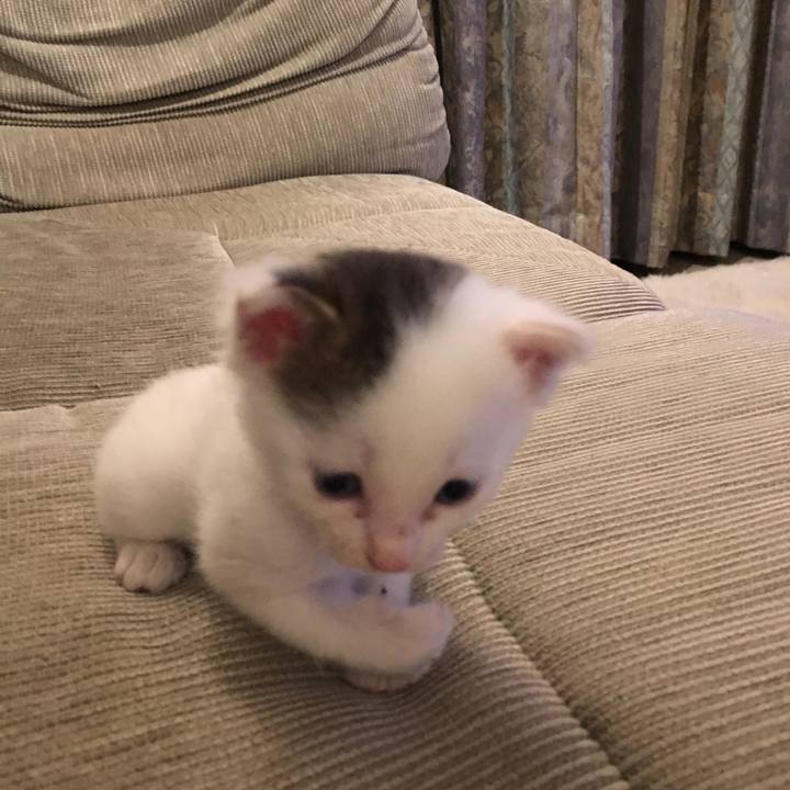 D6dc093a ec8b 4d25 aa3d 49e582ed4d1a