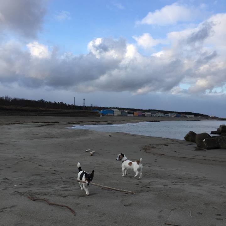 D6dc24ba a6e5 4646 8d4b d5fb47c5d902