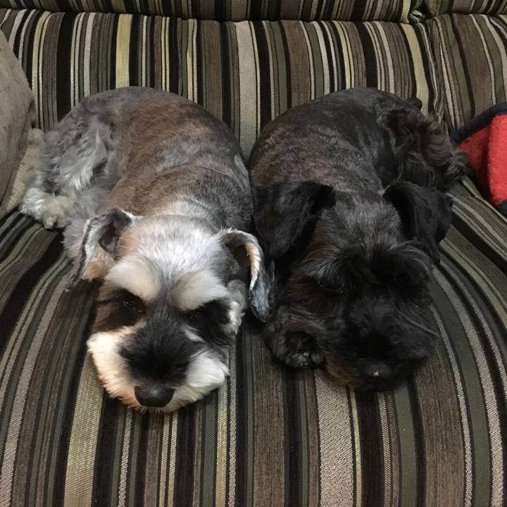 D6dc77e4 ca71 4c23 a55a b9cc91d9aa0b