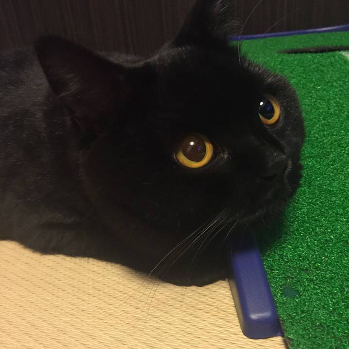 D6dcbadf 2c7c 4101 9f40 8eb4a62f5741