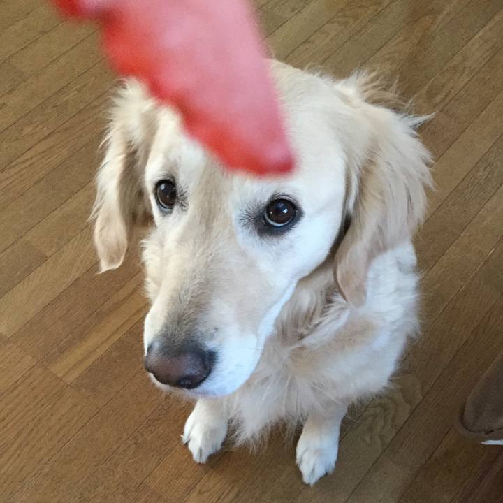 D6dce1dd 8101 49da 8134 09dc227db472