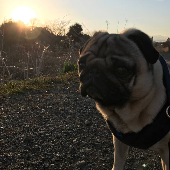 D6dce1eb 64c9 4de4 8567 836f3b5f11ea