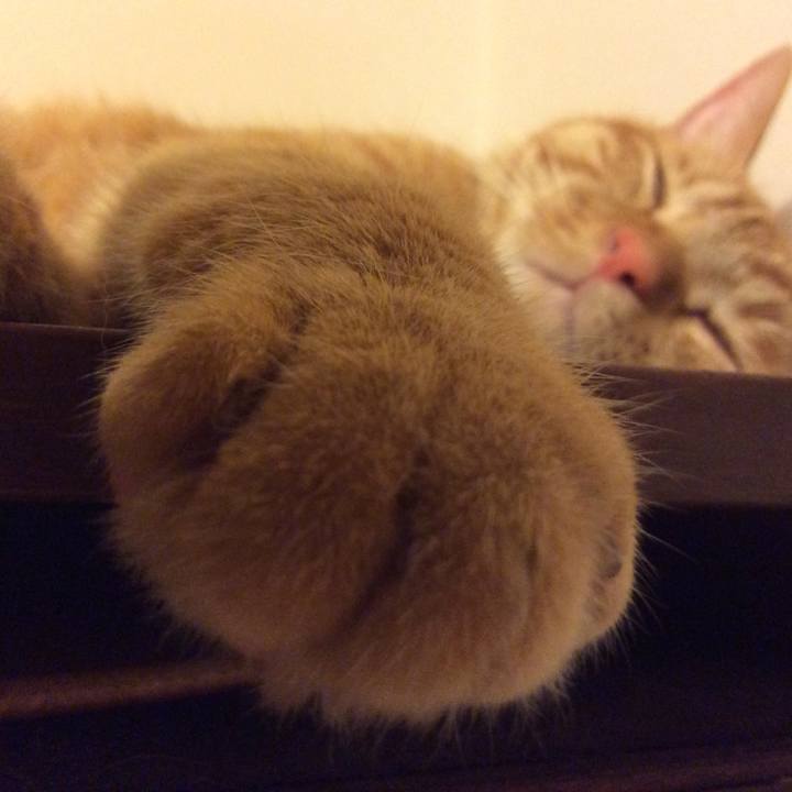 D6dd5886 5fcf 49d0 a400 bcde3e8dcae5