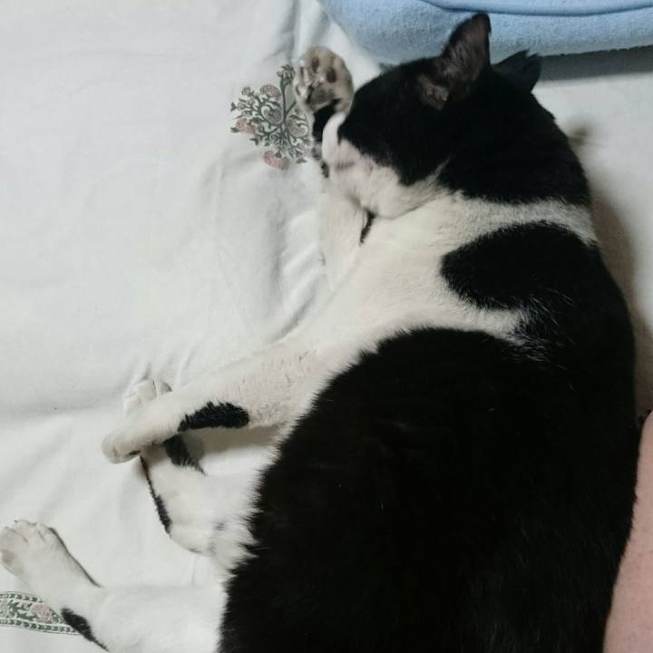 D6ddace3 284f 4fa8 8561 b67733ff5805