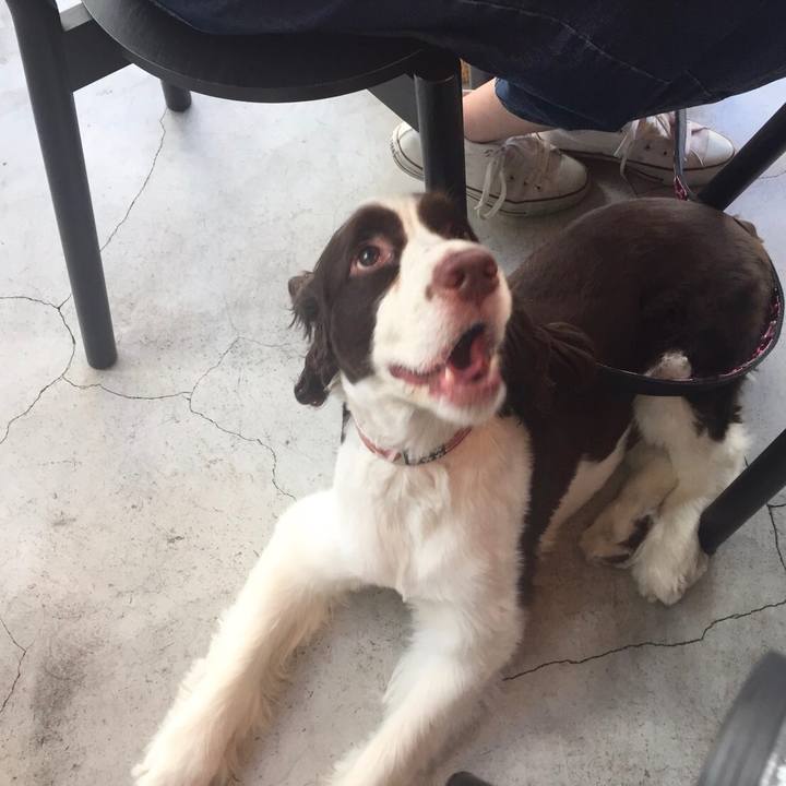 D6ddc3a0 a30b 4649 8e2e 74d9ab78b7e9