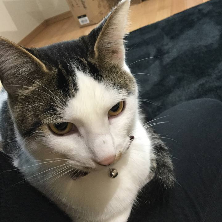 D6de07b6 97ee 4bd9 a4c6 a746c45ff31d